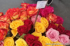 Prices for souvenirs in Paris, roses 